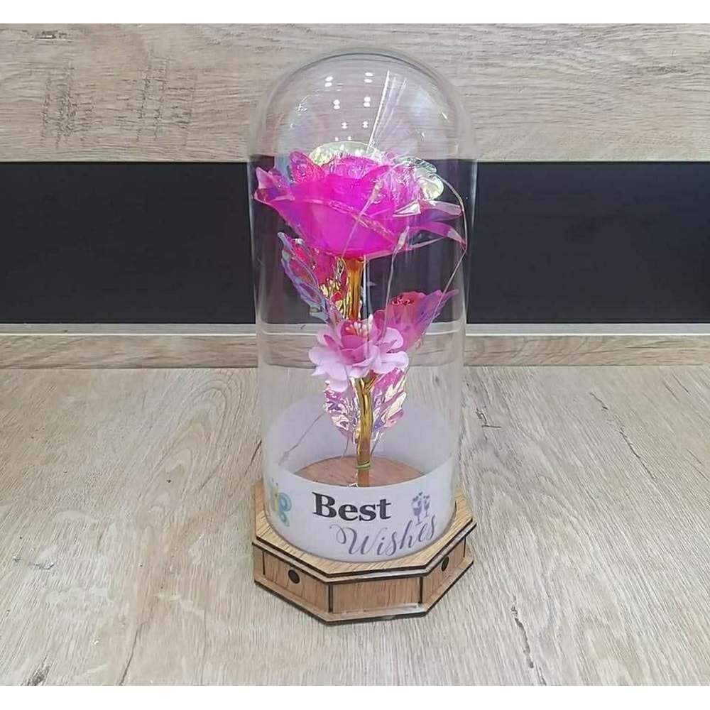 LALE İTHALAT 9E GÜL FANUS HEDİYELİK *60*