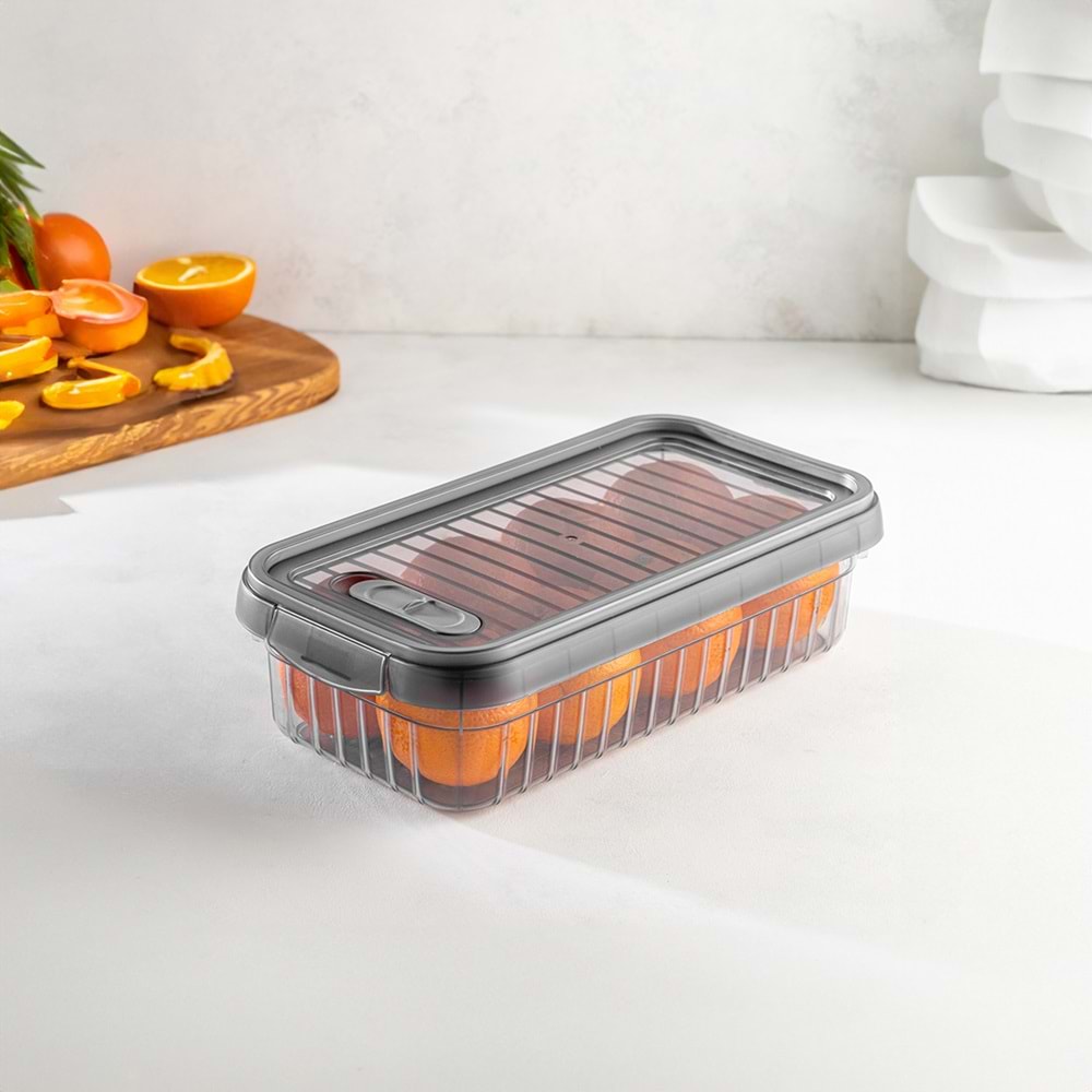 FOLY LİFE BNM-8038 2 LT LEON SAKLAMA KABI *24*