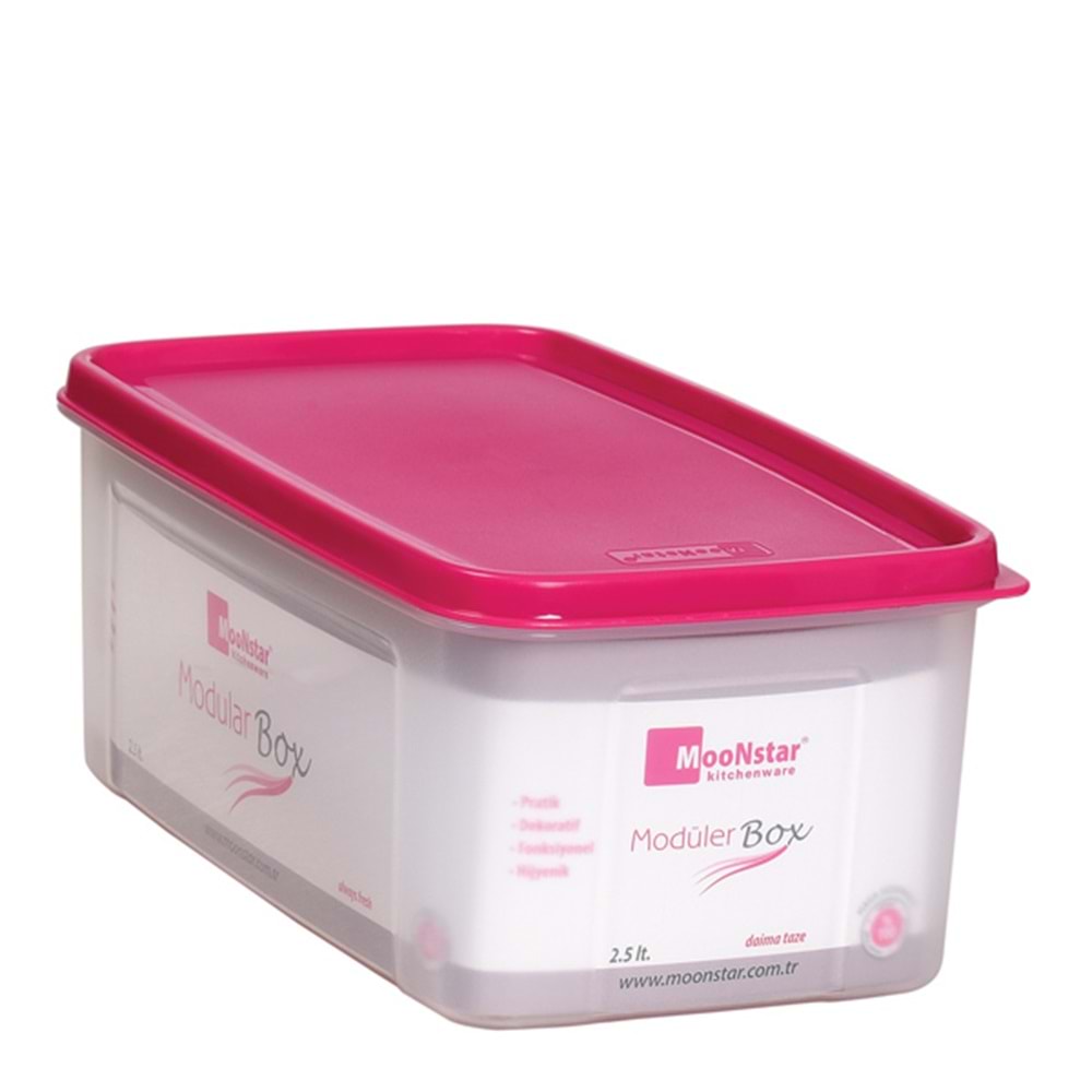 ALPA MS04 MODÜLER DİKD. SAKLAMA 2.50 LT *48*