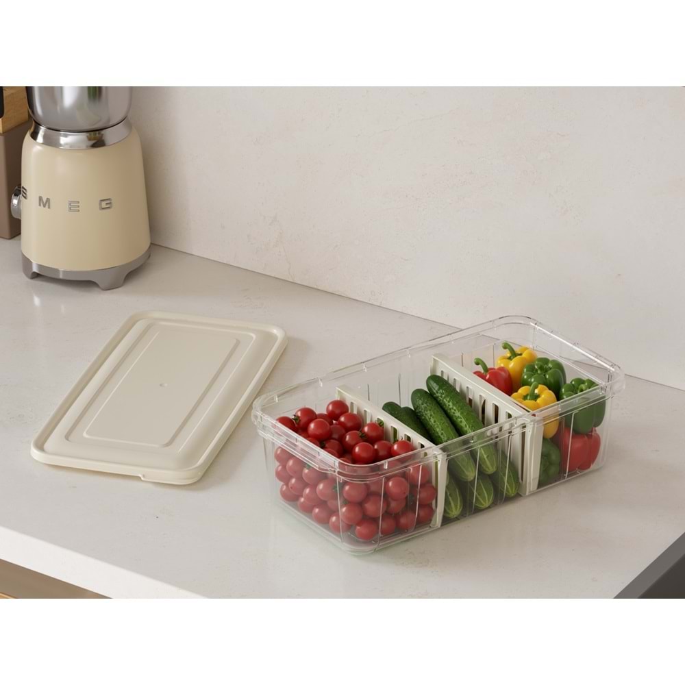 DÜNYA PLASTİK 07417 3 BÖLMELİ KAPAKLI ORGANİZER *24*