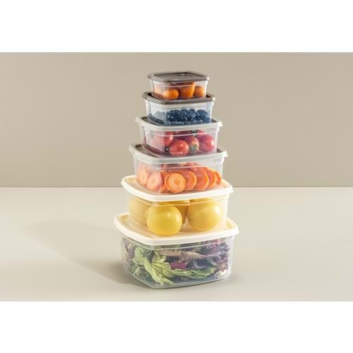 SOFTCHEFF 00663 EASY KARE SAKLAMA KABI 6'LI *24*