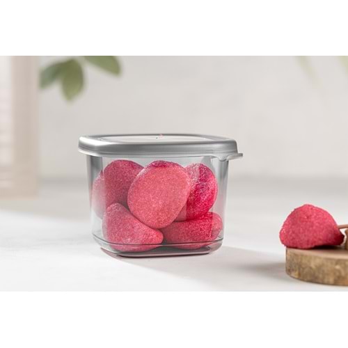 FOLY LİFE BNM-4092 550 ML PEGGY KARE SAKLAMA *72*