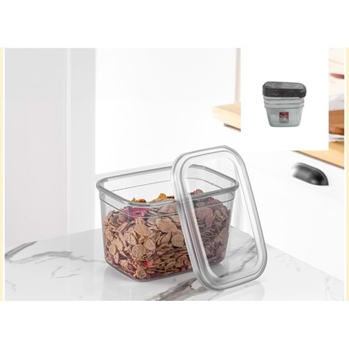 FOLY LİFE BNM0376 4 LÜ PEGGY SAKLAMA KABI SET 2300 ML